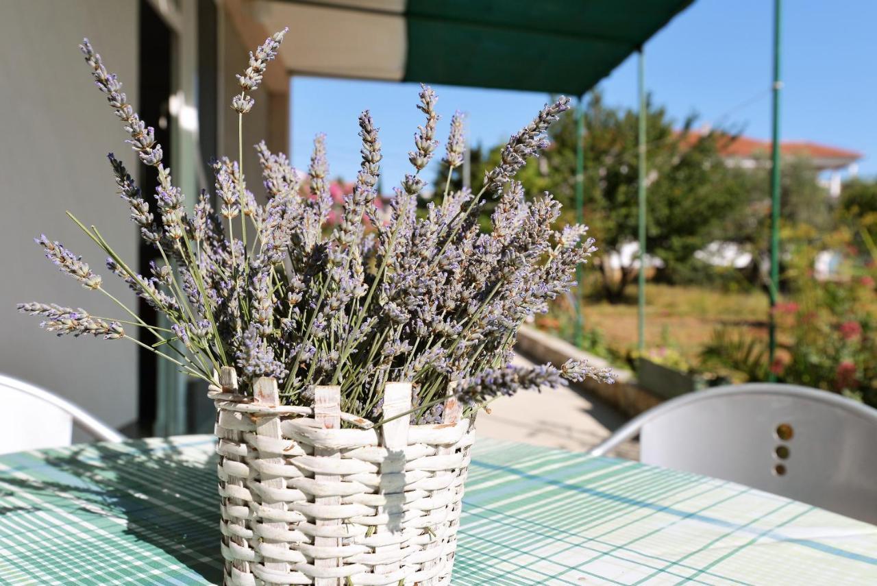 Slanica Murter Bagian luar foto